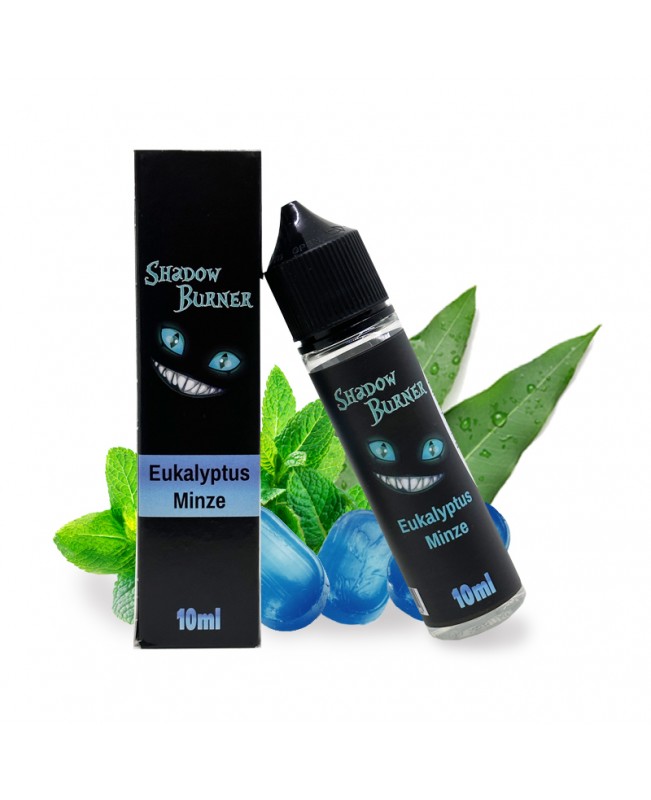 Eukalyptus Minze Aroma Longfill