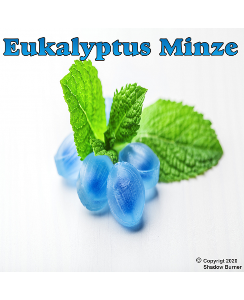 Eukalyptus Minze Aroma 10 ml