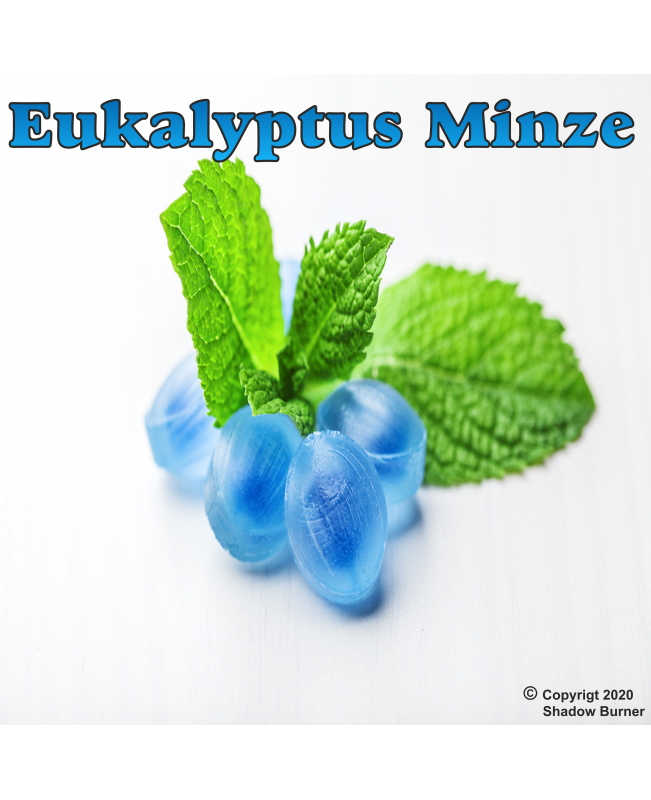 Eukalyptus Minze Aroma 10 ml